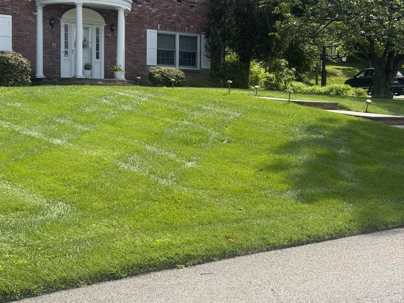 Striped, weed-free front lawn in front of a brick colonial home
