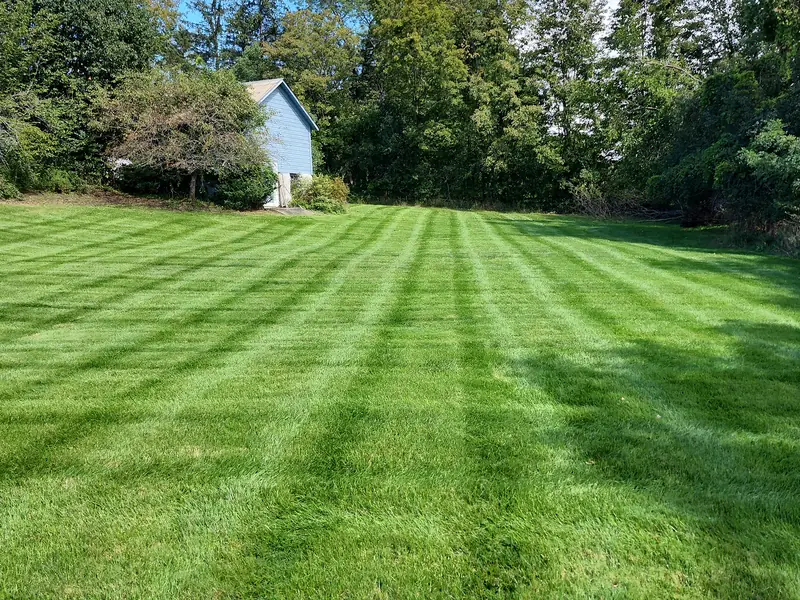 Dense green lawn with mowing stripes under a blue sky