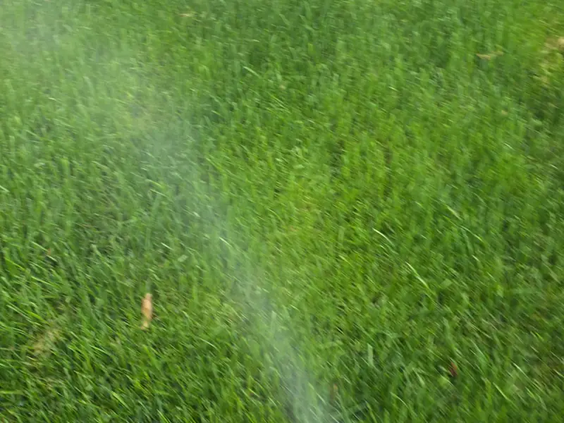 Tick barrier treatment being sprayed along a lawn edge