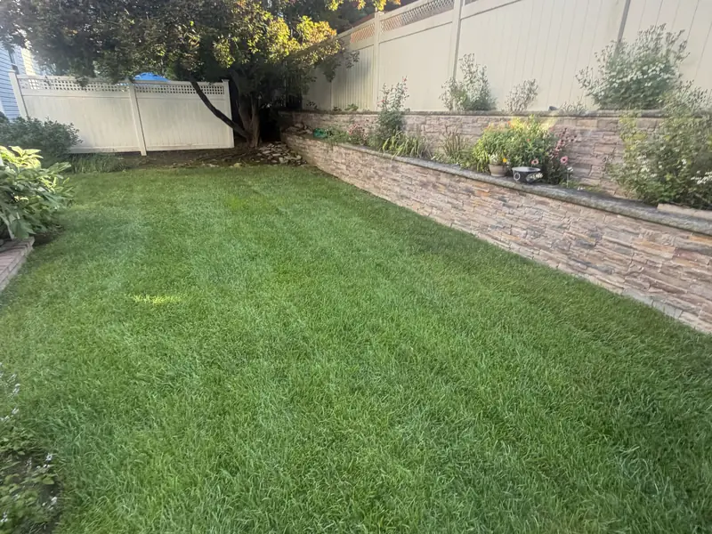 Fenced backyard lawn with stone planting beds