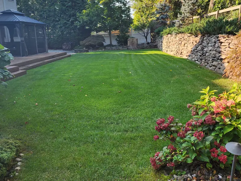 Manicured backyard lawn bordered by flower beds and a stone wall